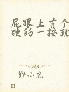 屁眼上有个包硬硬的一按就疼