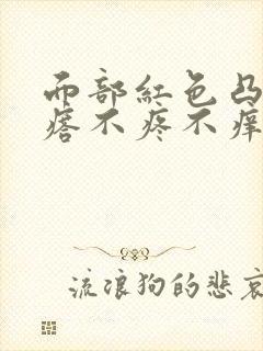 面部红色凸起疙瘩不疼不痒