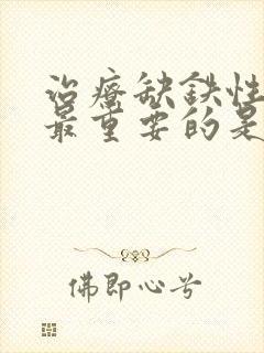 治疗缺铁性贫血最重要的是