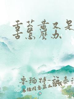 舌苔黄又是齿痕舌怎么办