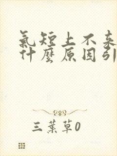 气短上不来气是什么原因引起的