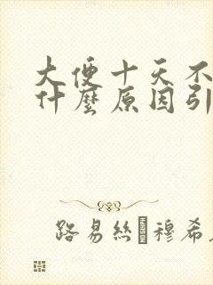 大便十天不拉是什么原因引起的