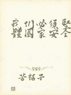 我们必须坚持总体国家安全观,以安全为宗旨