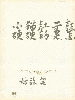 小猫肚子鼓鼓的硬硬的是怎么回事