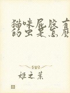 猫咪屁股有白色的虫是怎么回事儿