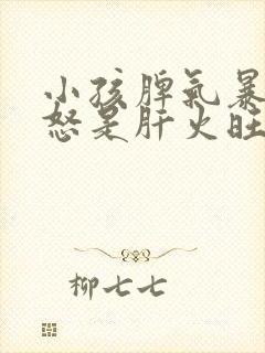 小孩脾气暴躁易怒是肝火旺吗