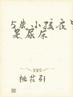 5岁小孩夜里总是尿床