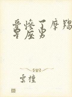 爱惨了摩羯女的星座男