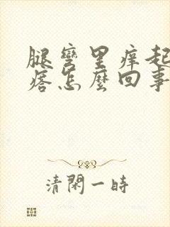 腿弯里痒起小疙瘩怎么回事