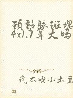 颈动脉斑块5.4x1.7算大吗