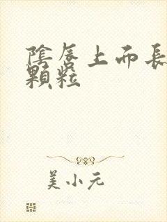 阴唇上面长了小颗粒