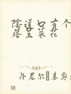 阴道口有个小疙瘩呈菜花