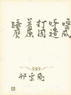 睡着打呼噜是什么原因造成的