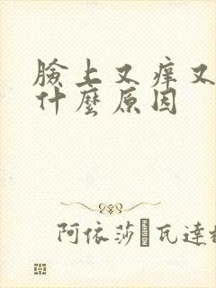 脸上又痒又红是什么原因