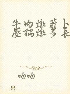 牛肉炖萝卜用高压锅炖多长时间