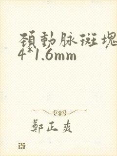 颈动脉斑块7.4*1.6mm