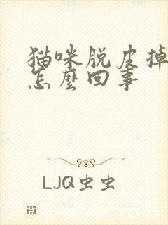 猫咪脱皮掉毛是怎么回事