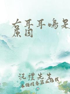 右耳耳鸣是什么原因