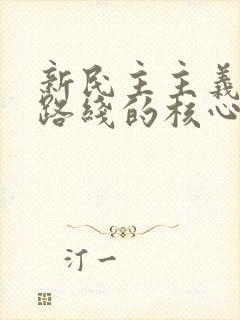 新民主主义革命路线的核心是( ).