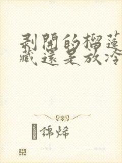 剥开的榴莲放冷藏还是放冷冻