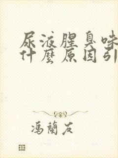 尿液腥臭味很重什么原因引起的