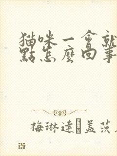 猫咪一会就尿一点怎么回事