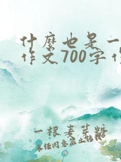 什么也是一种美作文700字作文