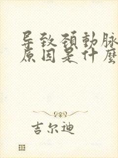 导致颈动脉斑块原因是什么