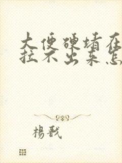 大便硬堵在肛门拉不出来怎么办