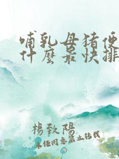 哺乳母猪便秘吃什么最快排便