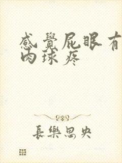 感觉屁眼有个小肉球疼