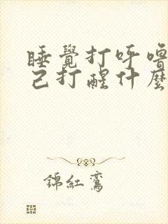 睡觉打呼噜把自己打醒什么情况