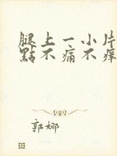 腿上一小片红点点不痛不痒