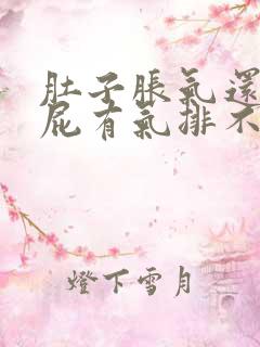 肚子胀气还不放屁有气排不出