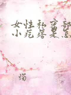 女性私密部位有小疙瘩是怎么了