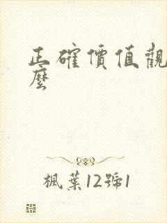 正确价值观是什么