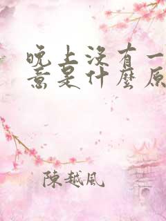 晚上没有一点睡意是什么原因