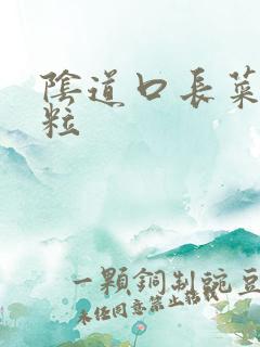 阴道口长菜花肉粒