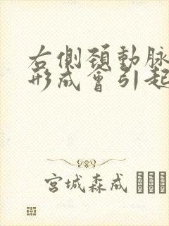 右侧颈动脉斑块形成会引起头晕吗