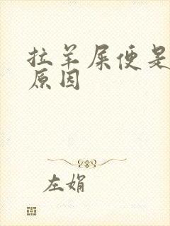 拉羊屎便是什么原因