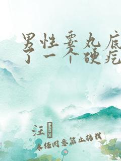 男性睾丸底部长了一个硬疙瘩