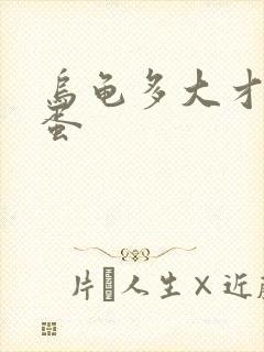 乌龟多大才能生蛋