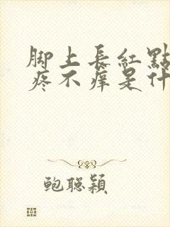 脚上长红点点不疼不痒是什么原因