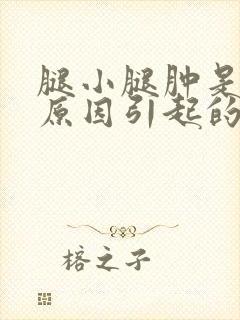 腿小腿肿是什么原因引起的