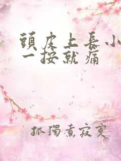 头皮上长小疙瘩一按就痛