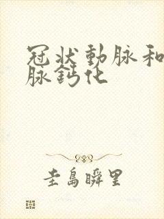 冠状动脉和主动脉钙化