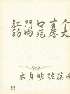 肛门口有个软软的肉疙瘩大便出血