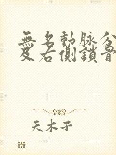 无名动脉分叉部及右侧锁骨下动脉斑块形成