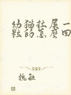 幼猫拉屎一粒一粒的怎么回事