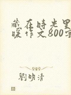 藏在时光里的温暖作文800字初中